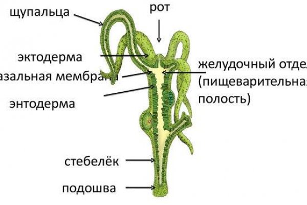 Настоящий сайт kraken