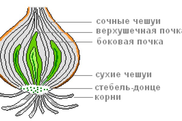 Кракен маркетплейс ссылка тг